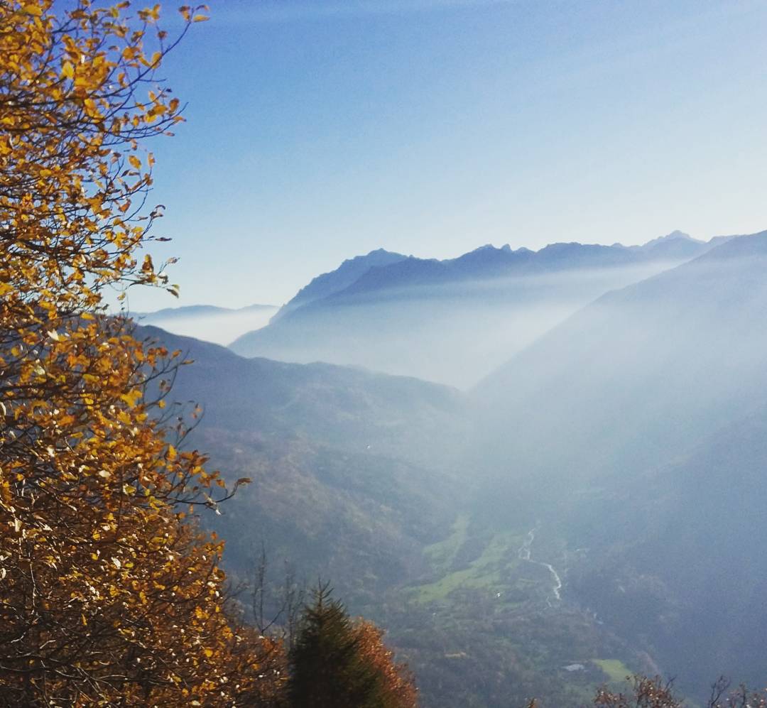 …autunno… #sonico #valcamonica #italia #montagna #bosco #mountain #woods #instanature #instadaily #instagood #naturelovers #nature #sun #sky #autumn #goodtime