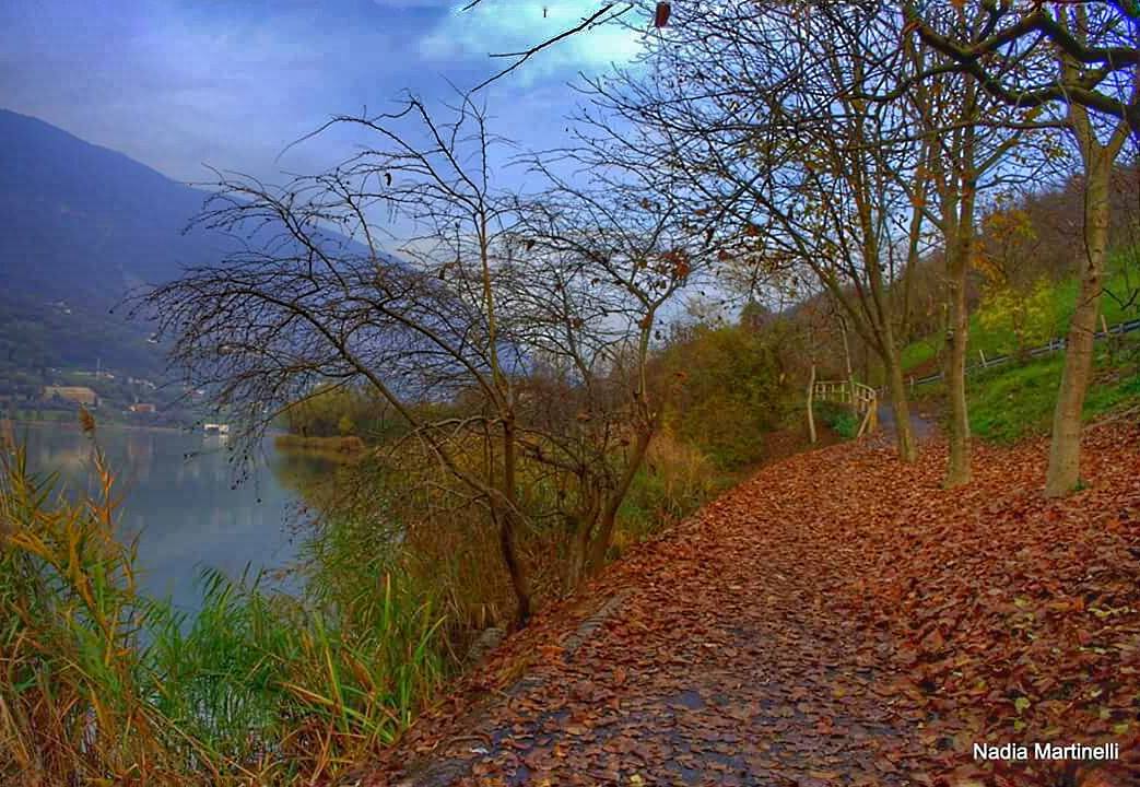 Lago di Endine# #ig_italia#ig_europe #vivobg_36 #Great_Captures_Nature #vivolombardia #vivoitalia #volgoitalia #volgolombardia#vivobergamo #volgoitalia#autumncolors #volgobergamo#instaamici #igersmood #bestitaliapics #bestlombardiapics #italialaghi #ig_great_shots #top_italia_photo #top_lombardia_photo#exclusive_reflection #loves_united_lombardia #italia_bestsunset #Great_Captures_Italia #hdr_captures #igersitalia #loves_lombardia #loves_bergamo #vivobestsky#vallecamonica