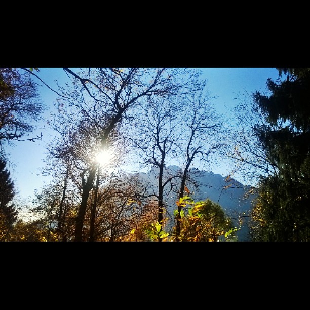 Autumn 🍁🍂🌄 #vallecamonica #concarena