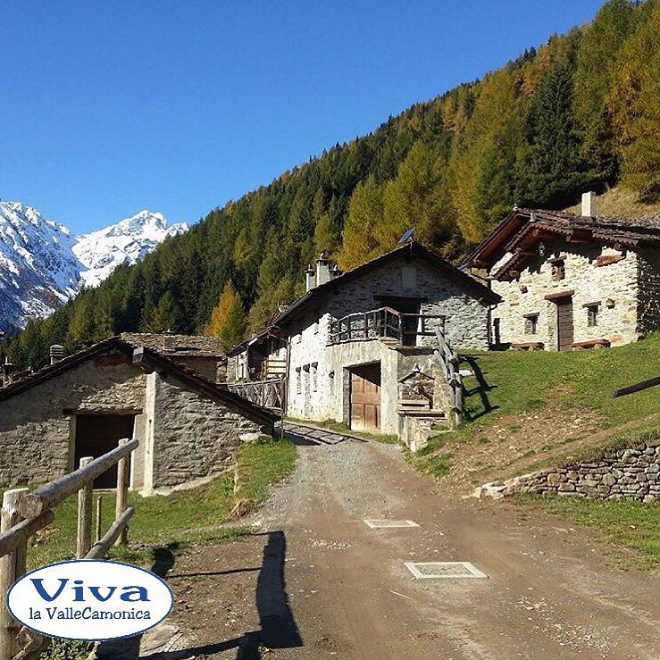•••. • •VivalaValleCamonica Presenta •. • •P H O T O O F T H E D A Y • • •November 2, 2015 • • •CONGRATS TO | @ignazio_balasso • • •USA #vivalavallecamonica nelle tue fotografie del territorio e potrai entrare a far parte della nostra gallery! 👏 • •LOCATION | #pontedilegno • • •#vivalavallecamonica #vallecamonica #valle #volgobrescia #vivobrescia #vivobergamo #vivoitalia #camonicavalley #loves_lombardia #loves_italia #valley