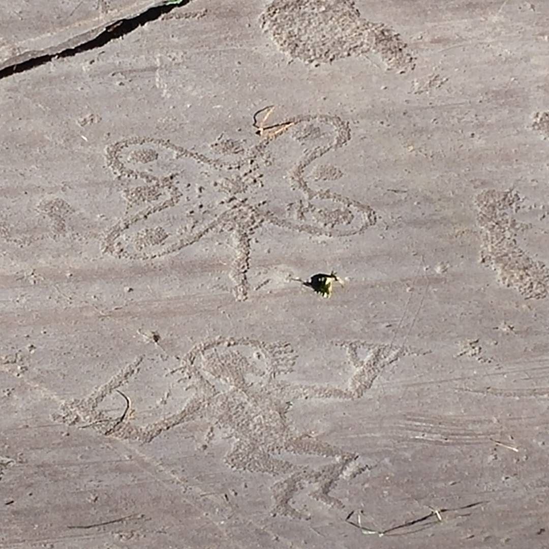 #vallecamonica #camonicavalley #lavalledeisegni