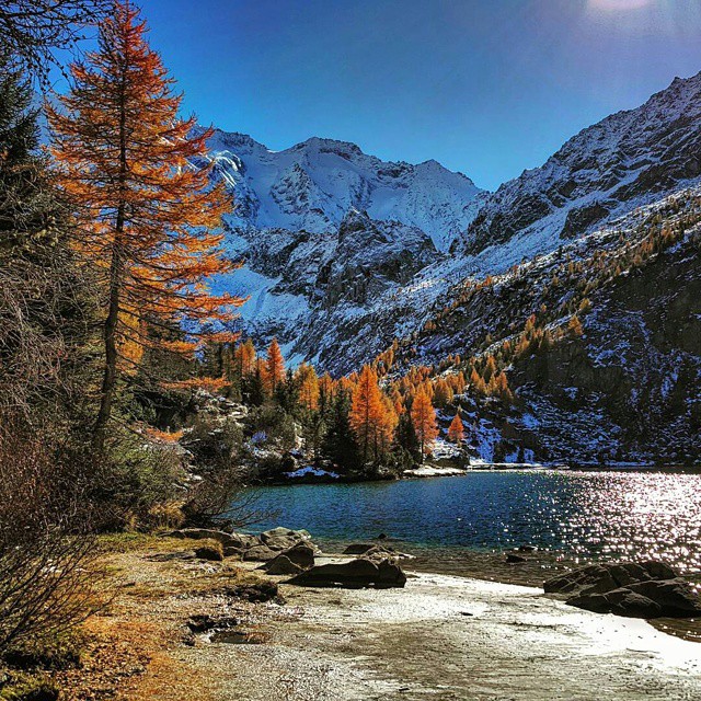 CONTEST AUTUNNO NEL PARCO DELL’ADAMELLO @Regrann from @m.nolli70 – Lago D’aviolo….😍 #visititalia #vivolombardia #italy_photolovers #italy_emotion #top_lombardia_photo #volgolombardia #volgobrescia #volgoitalia #visit_italiadascoprire #click_italy #intrippatitaly #ita_super_pics #isp_laghi #lombardia_super_pics #loves_superview #autunnoparcoadamello #exclusive_italy #loves_united_nature #loves_united_lombardia #loves_united_italia #vivonatura #lombardia_super_pics #top_italia_photo #the_lady_natura #vallecamonica #bestlombardiapics #vivalavallecamonica #parcoadamello #italialaghi #loves_nature #loves_landscape