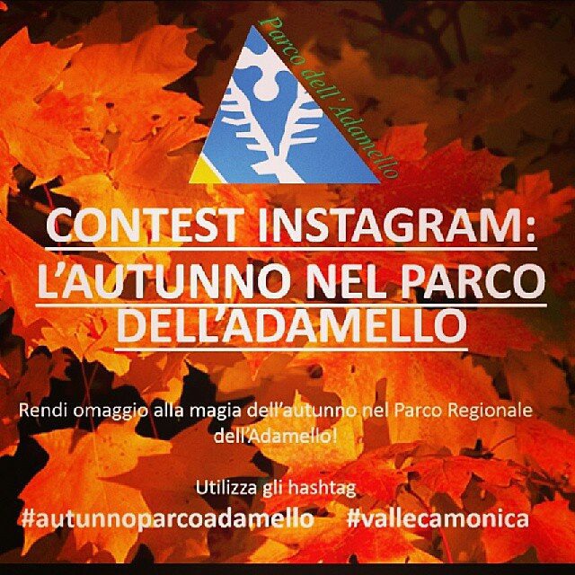 @Regrann from @parcoadamello – Il Parco dell’Adamello vi invita a partecipare al foto-contest L’AUTUNNO NEL PARCO DELL’ADAMELLO L’obiettivo è rendere omaggio alla magia ed ai colori dell’autunno nel Parco Regionale dell’Adamello. Per partecipare non dovete far altro che utilizzare gli hashtag #autunnoparcoadamello e #vallecamonica Regolamento: www.parcoadamello.it #valledeisegni #valcamonica #contest #brescia #igbrescia #lombardia #iglombardia @vallecamonica #adamello #monteadamello #cimaadamello #Regrann
