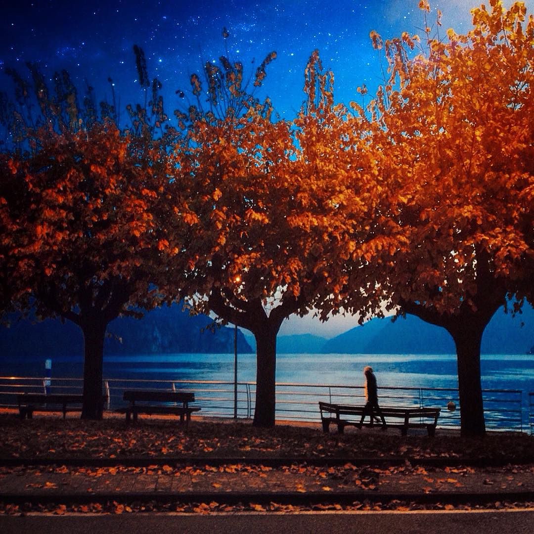 “walking towards the night” #2015wp45 #strideby @igers_taranto #lakeiseo #visitlakeiseo #lagodiseo #Valcamonica #visitlakeiseo #visitlombardy #visitbergamo  #visitbrescia #igersbergamo #igers_lombardia #igersbrescia #italialaghi  @volgolombardia #volgolombardia #autumn4igers #HistoryInABottle #Igersitalia #contest_pxw @pixiework #earthdefenders #Krabicalling #yourorisstyle #polyUDream @hongkongpolyU #odysseyproject @sperry #nikonitalia