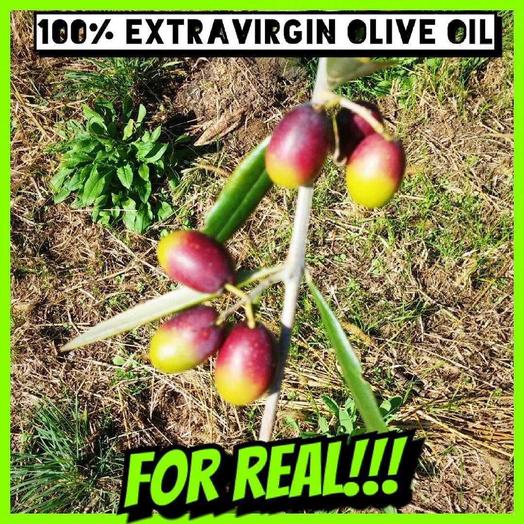 #olioevo #extravirginoliveoiloliveoil #therealone #nofake #diffidatedaimitazioni #aziendagricolascraleca #vallecamonica #italy
