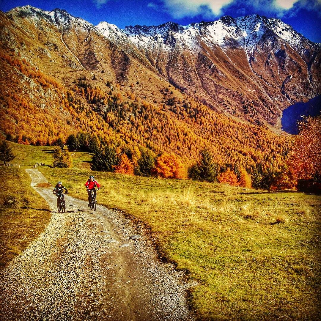 Riding on Adamello’s slopes – Conca di Volano and Zumella #bikegram #bikeride #bestonbike #bestoftheday #bicyclelife #mtbike #Mtb #instamtb #instadaily #igersmtb #igtrentinoaltoadige #bestonbike #loves_mtb #autunno #bici #ciclismo #mountainbiking #adamello #valcamonica