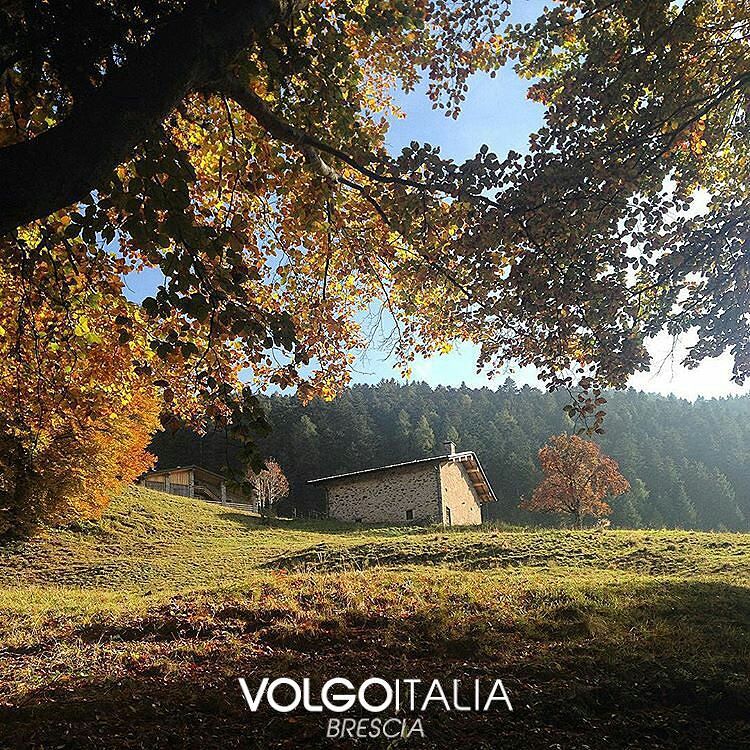 Gianico – Valcamonica – Brescia Foto di @robertasaviori #brescia #lombardia #italia #italy #volgobrescia #volgolombardia #volgoitalia #turism #holiday #trip #travel #italytrip #italytour #travelingram #madeinitaly #italyiloveyou #volgosocial #volgobrescia#valcamonicalovers #valcamonica
