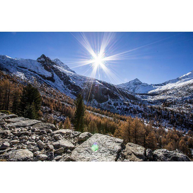 CONTEST AUTUNNO NEL PARCO DELL’DAMELLO @Regrann from @franzini_sara – Val d’Avio – #nature #bestmountainartists #skyporn #sun #winter #snow #beautiful #sunrise #blue #flowers #night #tree #twilight #clouds #explore #light #cloudporn #trekking #love #green #skylovers #alpinism #plem #day #red #mountains #adamello #parcoadamello #vallecamonica #autunnoparcoadamello #vallecamonica