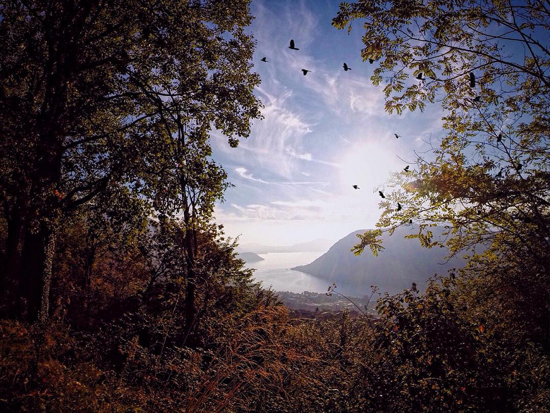 La natura d’autunno sembra un quadro barocco. #lagodiseo: romantico e tranquillo. #lakeiseo #visitlakeiseo #Valcamonica #visitlakeiseo #visitlombardy #visitbergamo  #visitbrescia #igersbergamo #igers_lombardia #igersbrescia #italialaghi  @volgolombardia #volgolombardia #autumn4igers #HistoryInABottle #Igersitalia #contest_pxw @pixiework #earthdefenders #Krabicalling #yourorisstyle #polyUDream @hongkongpolyU #odysseyproject @sperry #italy_emotion #from_your_perspective_36 #passioneclick #natura_love_ #naturelover_gr #dofnature