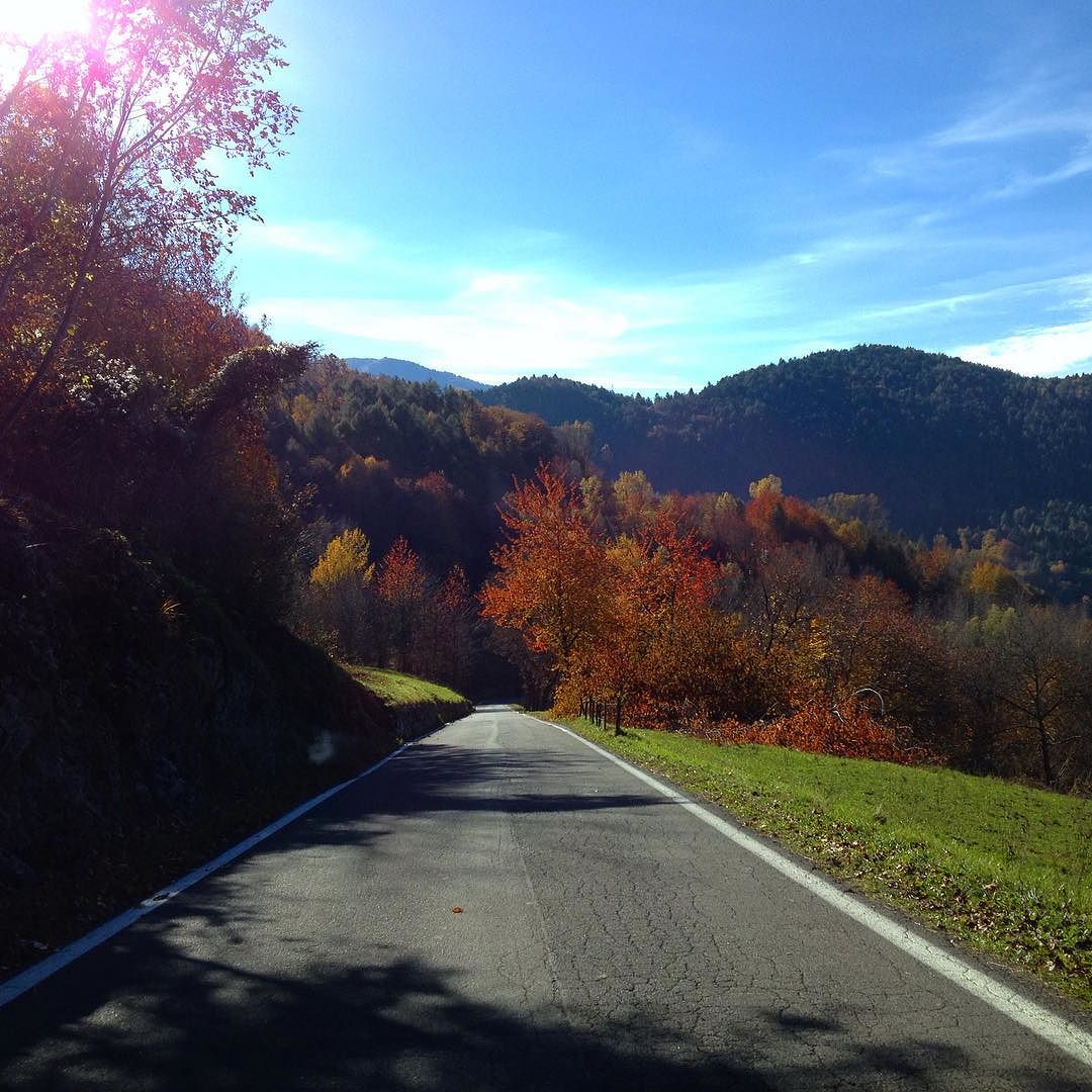 #astrio #vallecamonica #landscape #autumn #november #colors #nature #street 🍃🌲🍂🍁