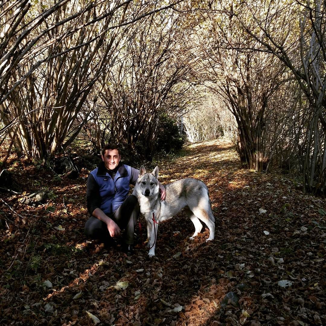 ❤ #lupocecoslovaccocommunity #lupo #lupocecoslovacco #czechlovakianwolfdog #italianboy #boys #sunday #outdoorlife #relax #autumn #autunno #naturephotography #bestoftheday #bestfriends #boyfriend #mylove #togetherisbetter #instalove #coolpic #vallecamonica #trekking #sunnyday #beautifulitaly #beauties #beautiful #nofilter