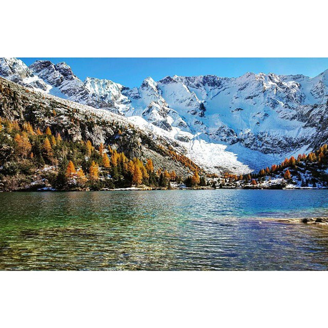 CONTEST AUTUNNO NEL PARCO DELL’ADAMELLO @Regrann from @m.nolli70 – Lago D’aviolo #parcoadamello #visititalia #vivalavallecamonica #vallecamonica #italialaghi #italia_landscape #volgobrescia #volgolombardia #click_italy #intrippatitaly #loves_lombardia #italy_emotion #italy_photolovers #total_italy #ita_super_pics #top_lombardia_photo #lombardia_super_pics #loves_superview #autunnoparcoadamello #exclusive_italy #loves_italia #loves_united_lombardia #ptk_nature #pocket_italy #vivolombardia #loves_united_nature #igworld_nature #italia_landscape #vl_best102015 #loves_nature #bestlombardiapics