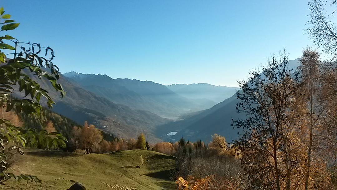 #passeggiate#sempre#inbuonacompagnia#krisp#autunno2015#giornatine#sole#vallecamonica#mundadis 😍🍁🍂🌿☀🌼🌸❤