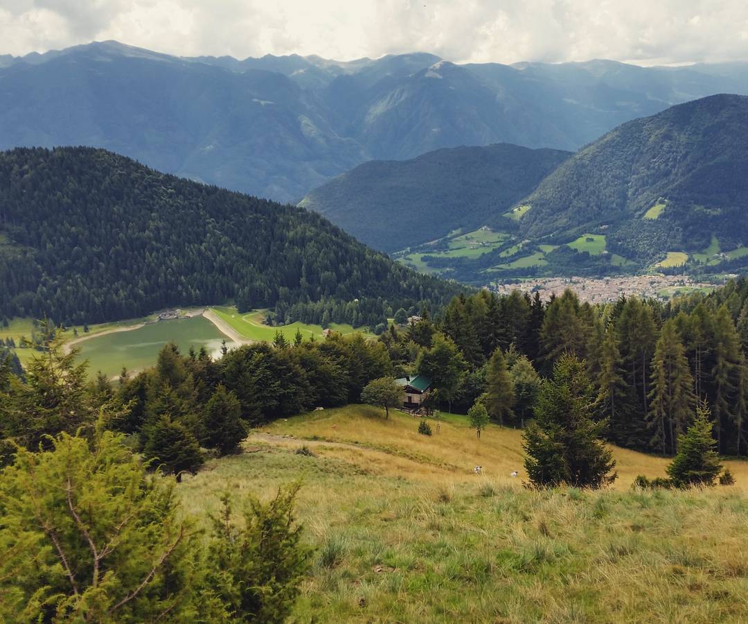 Sentiero alto @zucchifabio #pino 🌞 #sentieroalto #Borno #lagodiLova #ValCamonica #Brescia #Lombardia #montagna #mountain #bosco #wood #clouds #panorama #nature #crema