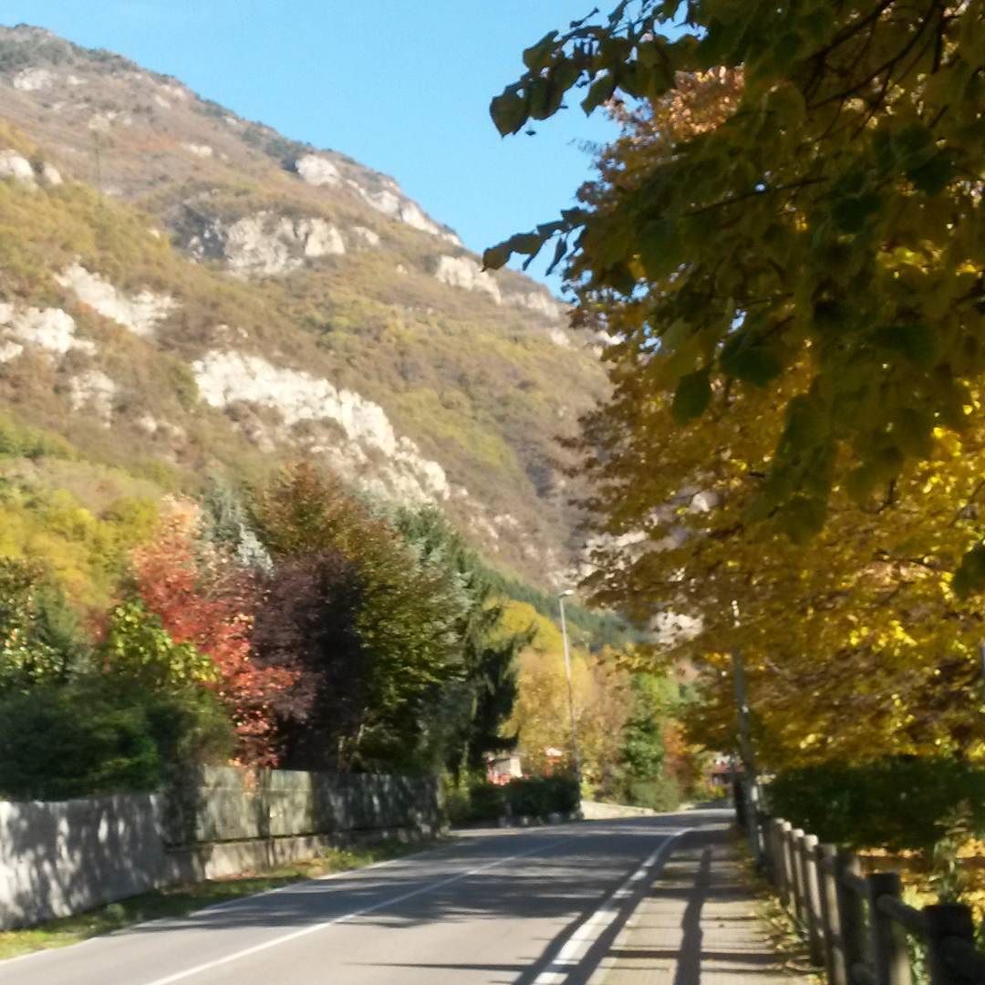 Autumn #autumn #sunnyday #darfoboarioterme #valcamonica #brescia #italy