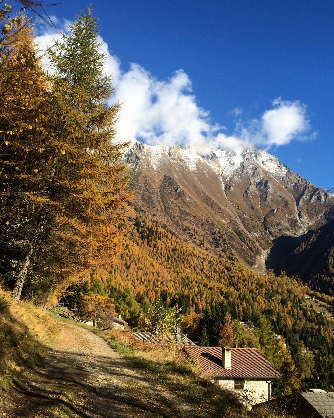 Passeggiate 🏔🌲🍂🍃💚 #sky #mountains #vallecamonica #instanature #paspardo #zumella #nature #place #view #pine #igersitalia #myfeelgoodplace #click_italy #shareyourparadise #explore #top_lombardia_photo #naturelovers #natureporn #instaitalia #october #autumn #sun #goodtime #relax #tagsforlike #likeback #likeforlike #shot #vivalavallecamonica