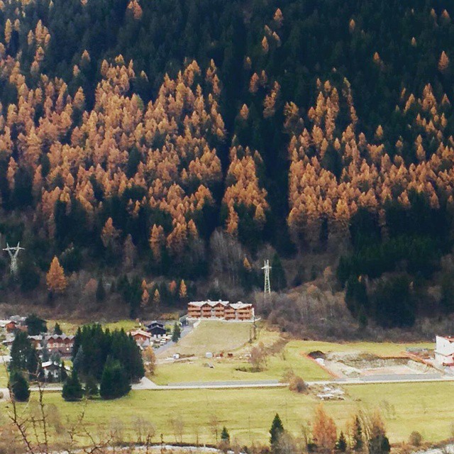 CONTEST AUTUNNO NEL PARCO DELL’ADAMELLO @Regrann from @walktheworld – Temù- #valcamonica #parcoadamello #igbrescia #valledeisegni #Regrann