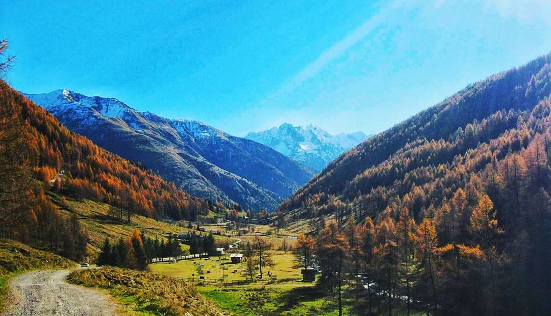 “Autumn: the year’s last, loveliest smile” 🍂🍁🍃 #autumncolors #homesweethome