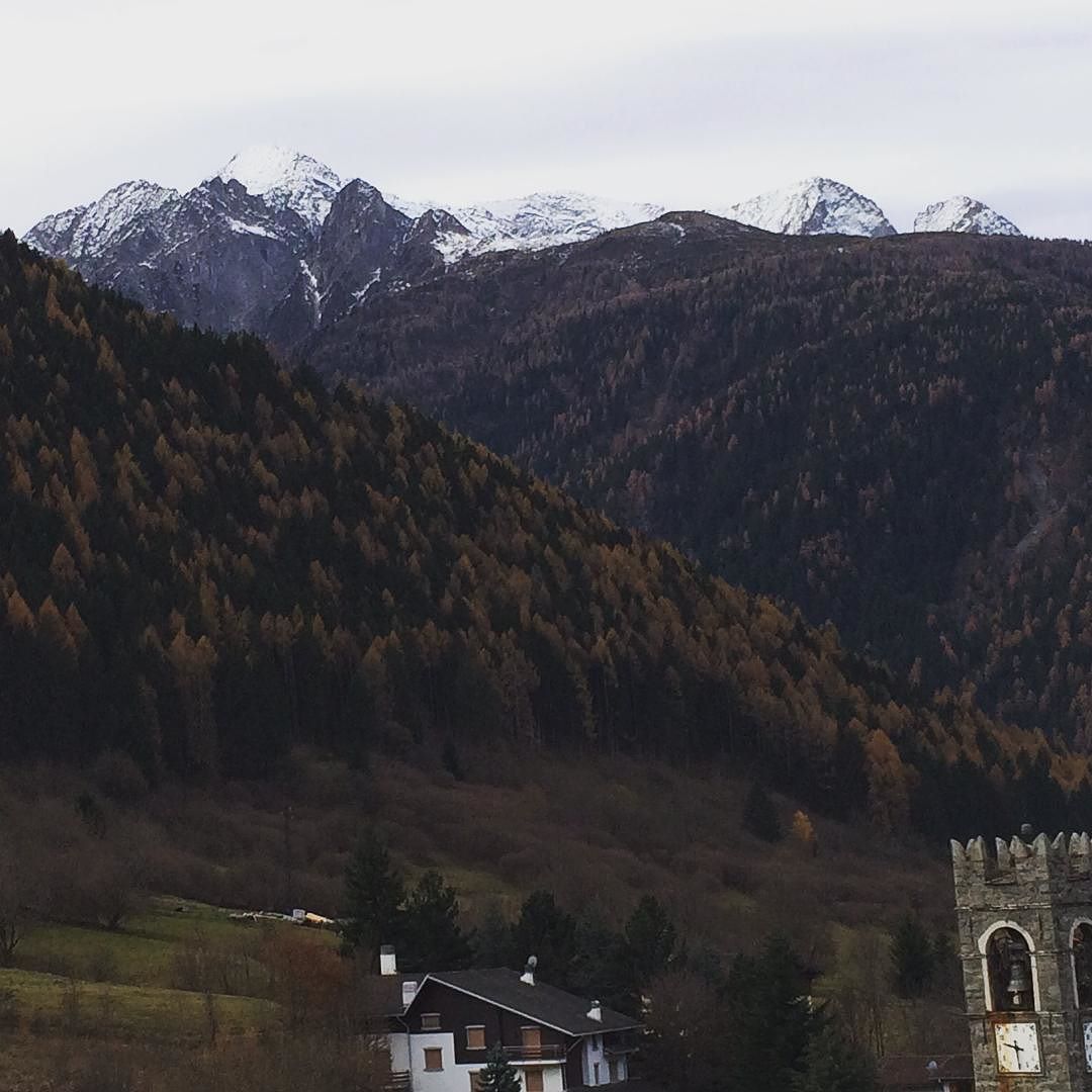 #autunnoparcoadamello #vallecamonica #parcoadamello #valledeisegni