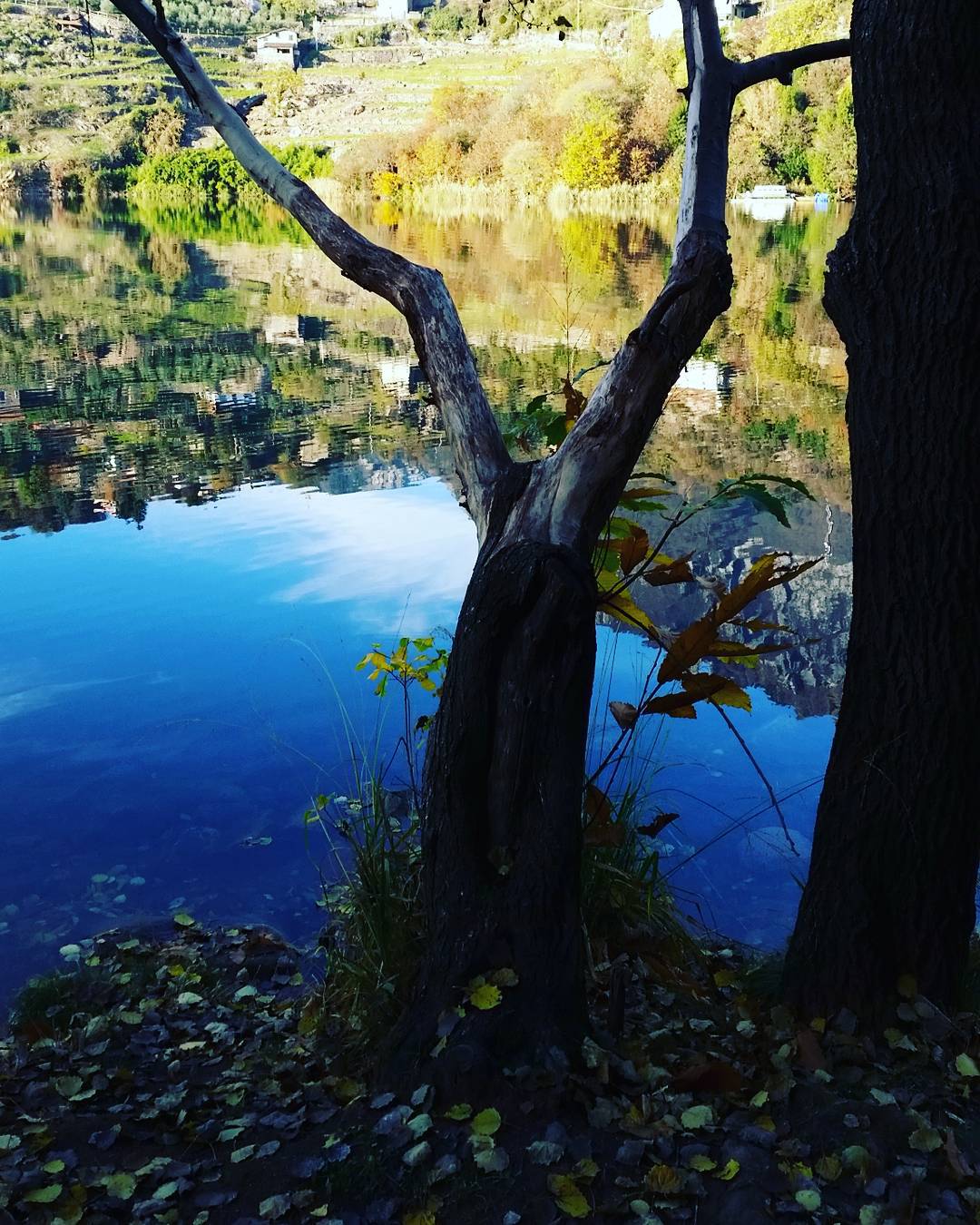 #localitàCapodilago #ig_lombardia #icu_hdr_edit #ig_today #Photography_artistic #mypassion #myphoto #traveladdicted #springtime #na_natures_art #ig_divineshots #master_shots #autumnleaves #autumnweather #tree #sunset #visitautunno #visitalia #vivalavallecamonica #autunnoparcoadamello #valledeisegni #vallecamonica #everyday_click #top_lombardia_photo #maronelago #magicpict #bns_world #special_shots #bns_world