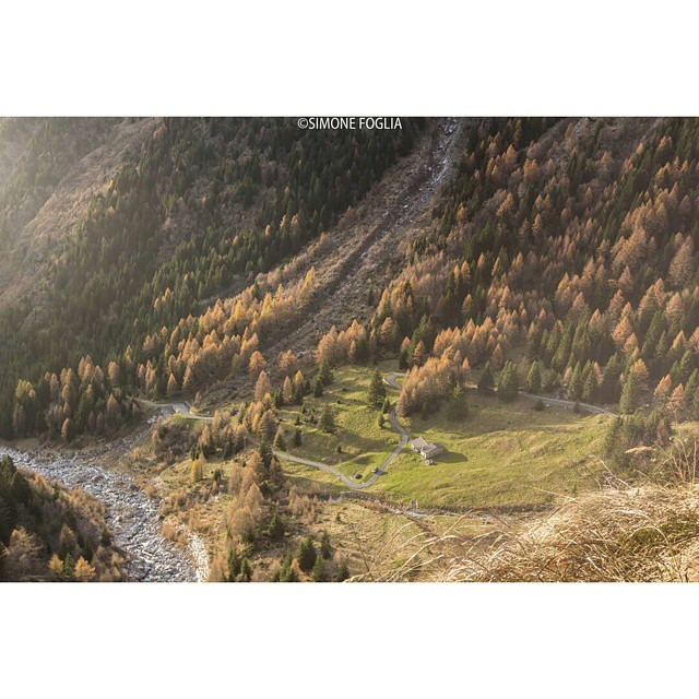 CONTEST AUTUNNO NEL PARCO DELL’ ADAMELLO @Regrann from @simone_foglia88 -Malga Lincino- #autunnoparcoadamello #parcoadamello #vallecamonica #valleadame #valledisaviore #malgalincino #instapic #instagood #Regrann