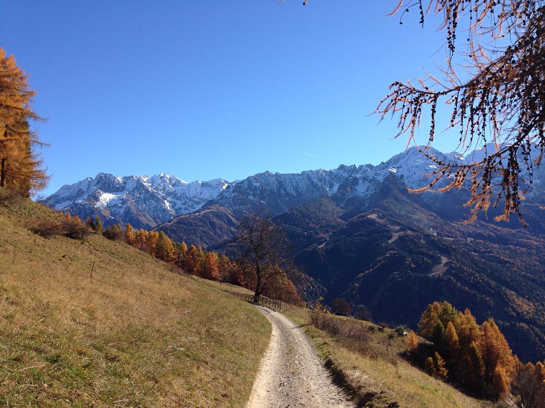 #valcanè #vione #autunno2015 #mtb #lovehim #vallecamonica #igervallecamonica