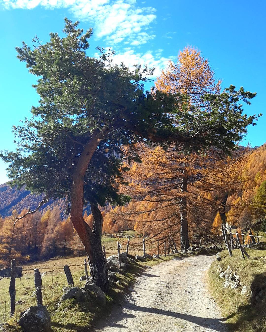 Estate di San Martino.. #lovemountains