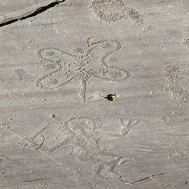 Valle Camonica Unesco rock drawings @Regrann from @vallecamonica – @Regrann from @rivendell88 – Valle Camonica rock art – UNESCO #vallecamonica #camonicavalley #valledeisegni #valcamonica #arterupestre #arte #Unesco #wonderfulexpo2015 #worldheritage #patrimonioumanità #incisioni #incisionirupestri #brescia #lombardia #cultura #culture #preistoria #prehistory #igersbrescia #igerslombardia #rockart #ig_brescia #ig_Lombardia #Regrann #UNESCO #unescoheritage