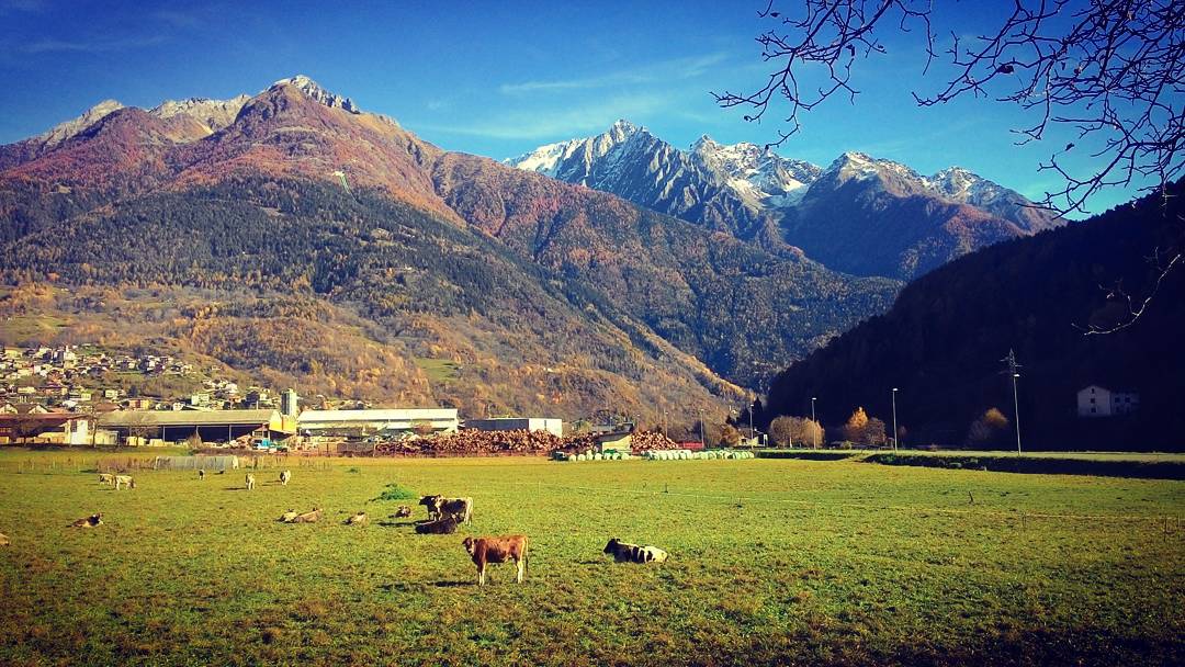 🍁🍃🗻#autumn#mountain#nature#sunday#vallecamonica#landscape