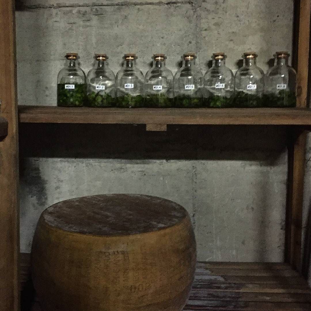 Begin Tests ⚗🔬 #TEST #8 #hopstest #hopstesting #hopmaster #testsuiluppoli #ampoules #ampolle #chemistry #luppolo #homebrew #hop #hopplant #luppoleto #luppoletocamuno #luppoletobiennese #beerporn #valcamonica #vallecamonica #camonicavalley #bienno #buennum #growinghops #growinghopsincamonicavalley #growinghopscamonicavalley #HappyHops #MrLuppolo #MrHops #parmigiano #parmigianoreggiano