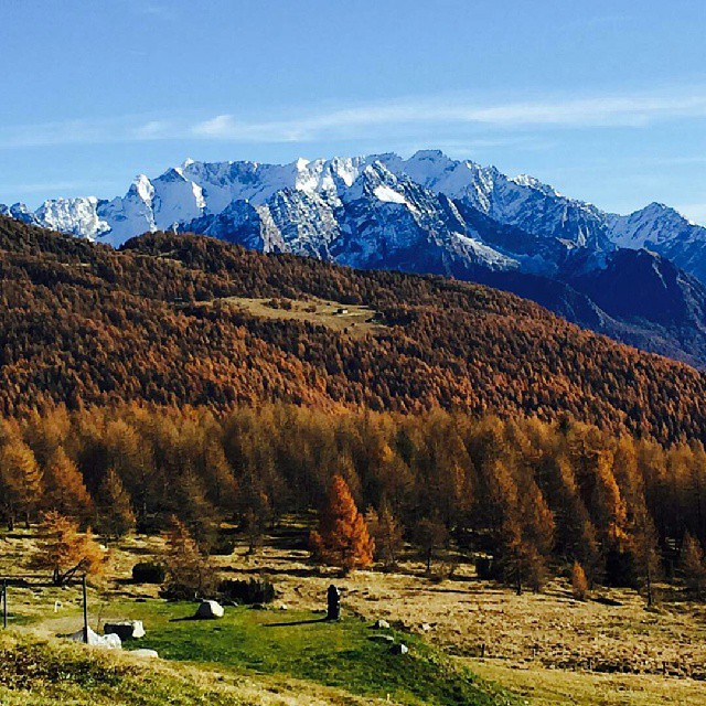 Passo Mortirolo @Regrann from @filizene – #mortirolo #vallecamonica #valledeisegni #montagna #autumn #autunno #instapic #beautiful #landscape #mountain #naturelovers #natura #volgobrescia #wonderfulexpo2015 #lombardia #ig_brescia #igerslombardia #igersnature #igersbrescia #foliage #skyporn #Prato #alberi #trees #mountains #landscape #red #blue #neve #snow