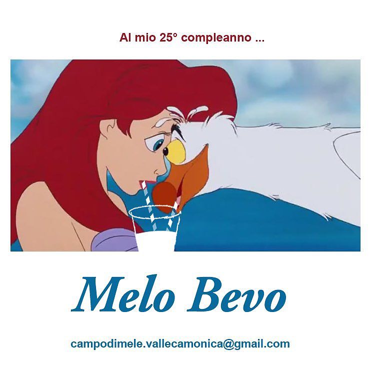 #happybirthdayariel #ariel #auguri #25 #1990 #novembre #sirenetta #augurisirenetta #arricciaspiccia #melobevo #succo di mela #solomela #senzazucchero #ognivoltachevuoi #naturale #ceto #vallecamonica #milano Campo di Mele #cincin