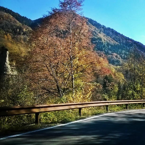 #Lozio#Valcamonica#Autunno#