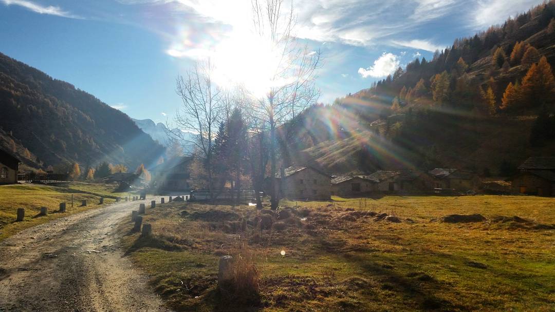 The sound of sunshine. 🌞 #vallediviso #casediviso #vallecamonica #valledeisegni #autumn #november #mountains #nature #sky #sun #sunshine #paradise #relax #silence #peaceofmind #peace #landscape #beautiful #road #walk #friends #samsunggalaxys5