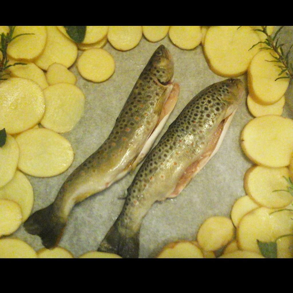 Stasera cucino io.Trote Fario di torrente appena pescate.Cotte al forno. Le mie preferite in assoluto. Distanti anni luce da quelle allevate. #trota #fario #Valcamonica #fish #pesca #nature #cucina #mountains