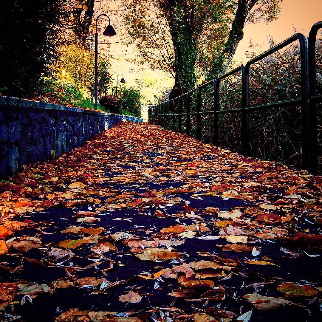 #autumn #autunnale #autunno #october #ottobre #november #novembre #landscape #vallecamonica