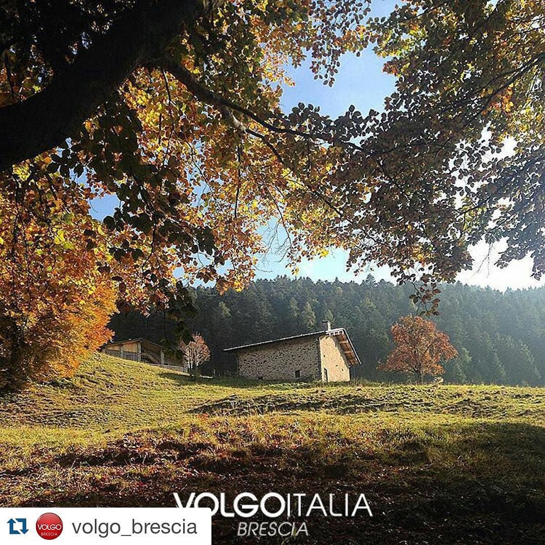 Grazie#volgobrescia#gianico#vallecamonica