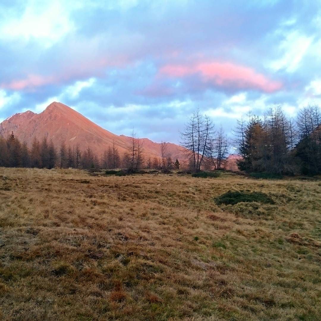 #picoftheday #nature#italyiloveyou #vallecamonica #trakking #friendofmountain#nofilter