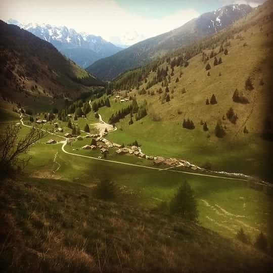 #instapic #instaphoto #bestphoto #igpic #picoftheday #picoftheday #photobycanon #photobynikon #photoofday #photooftheday #followme #igitaly #vallecamonica #mountainesia #mountains #reflex #nikon #canon #lumix #zoom #heart #nature #photo #igphoto #follow4follow #like4like #likeforlike #followforfollow #igitaly #photoshoot