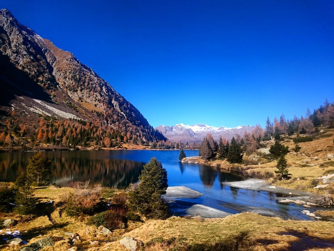 Walking on Val Paghera – lago Aviolo #lagoaviolo #valpaghera #adamello #parcoadamello #laghiitaliani #italialaghi #mountain #nature #neverstopexploring #vallecamonica #fall #autumn #outdoorlife #outdoorliving #landscape #trekking #mountains #exploreitaly