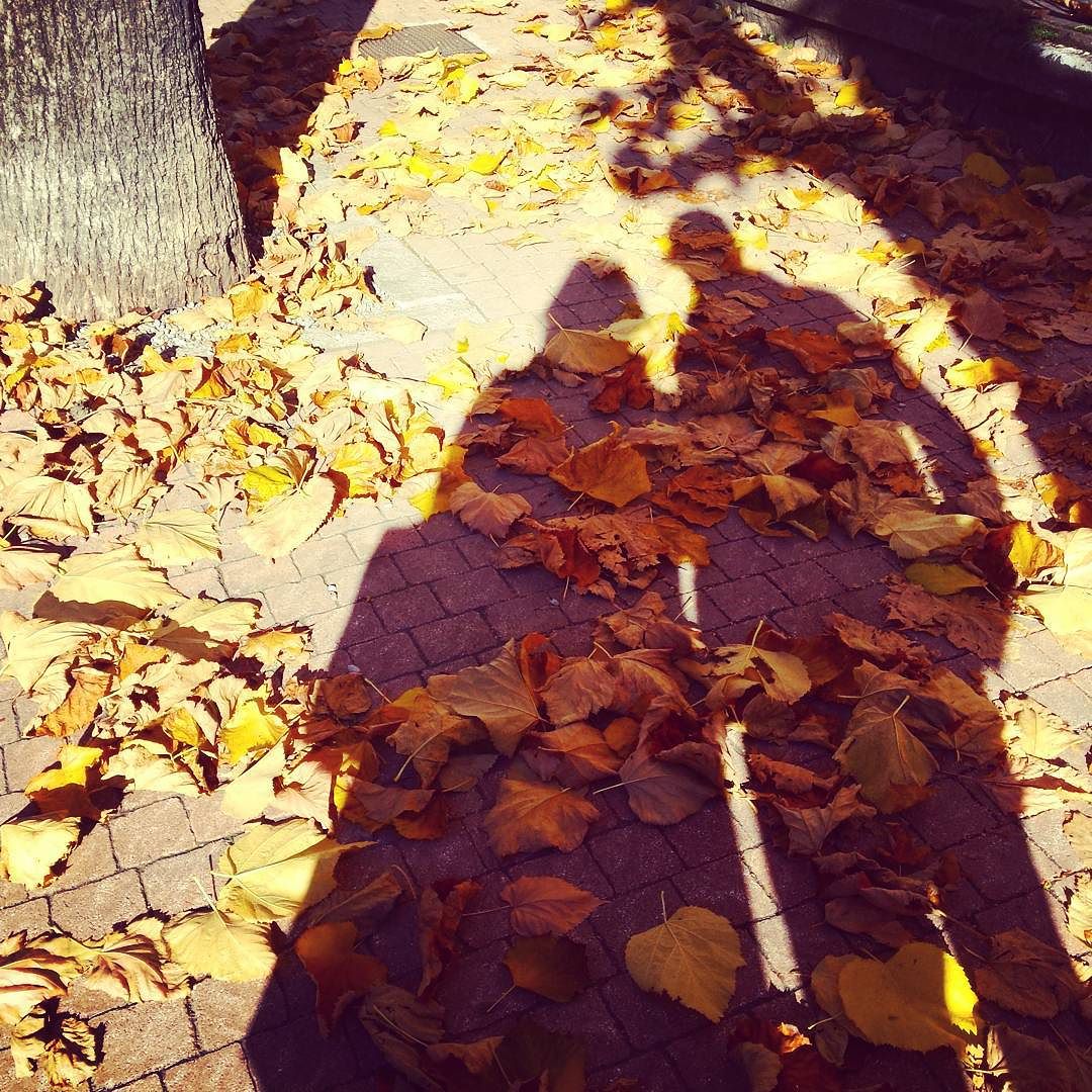 You & me ##autunno #edolo #vallecamonica #likealways #youandme