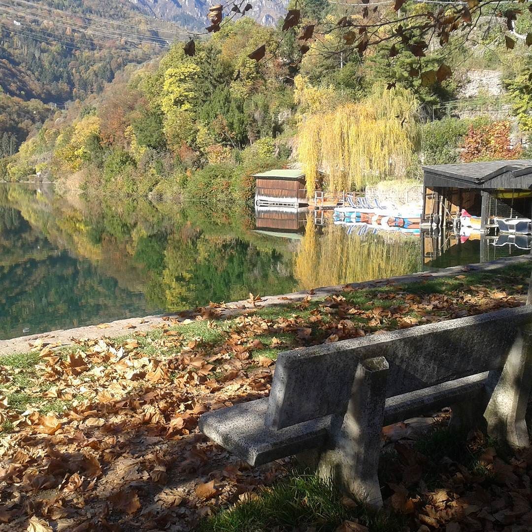 #colorful ##autumn #relax #trees #love #CapoDiLago #CoDeLac #vallecamonica