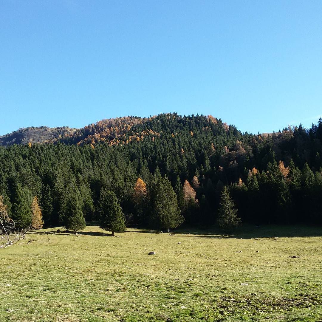 #italy #italianalps #alps #mountains #freedom #nature #prativerdi #lombardy #lombardia #autumn #autunno #sky #walking #natural #italien #norditaly #valcamonica #alpen #autumn #autunno #