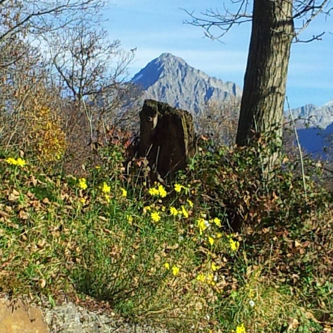 Visioni#vallecamonica #italy