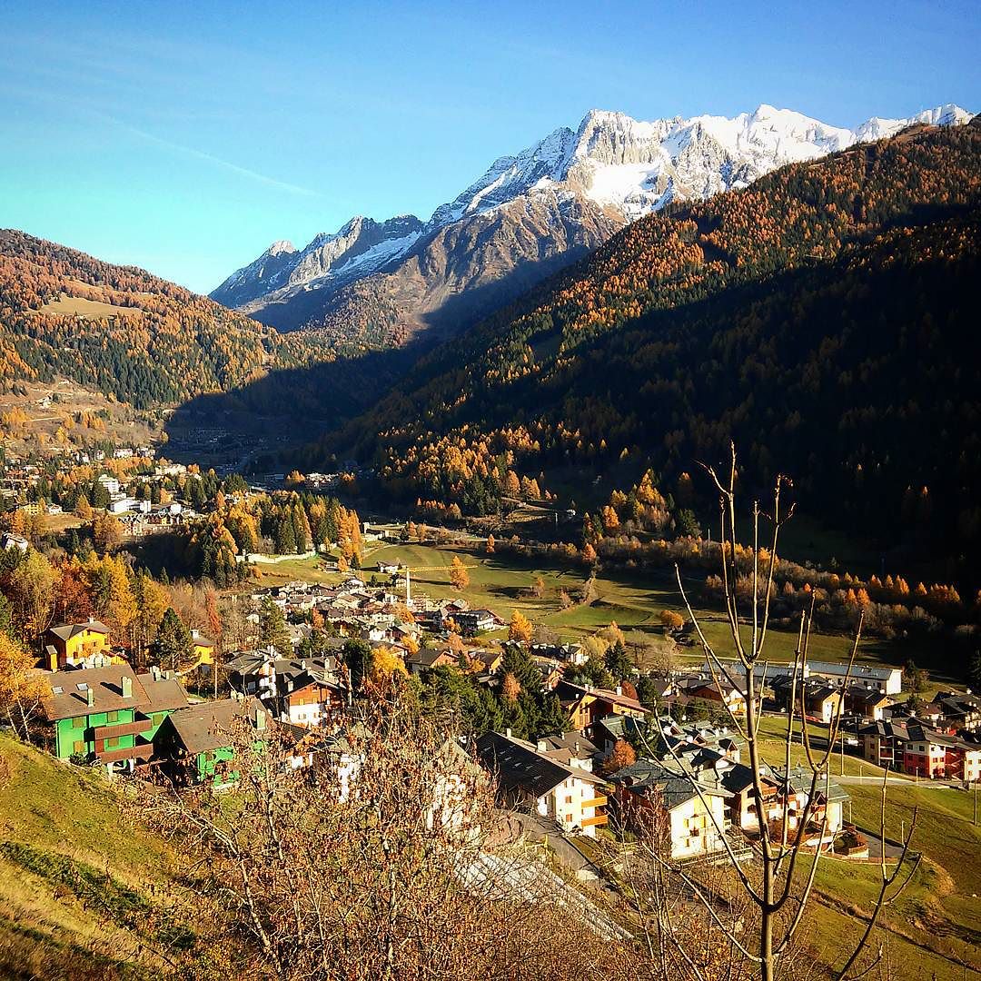 #pontedilegno #vallecamonica #autunno #giallo #mountain #montagna