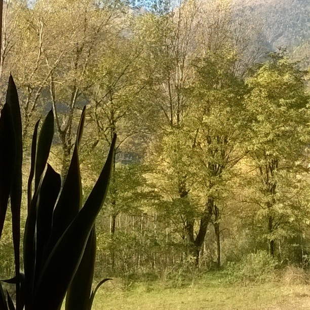 #Autunno#Italy#Valcamonica#