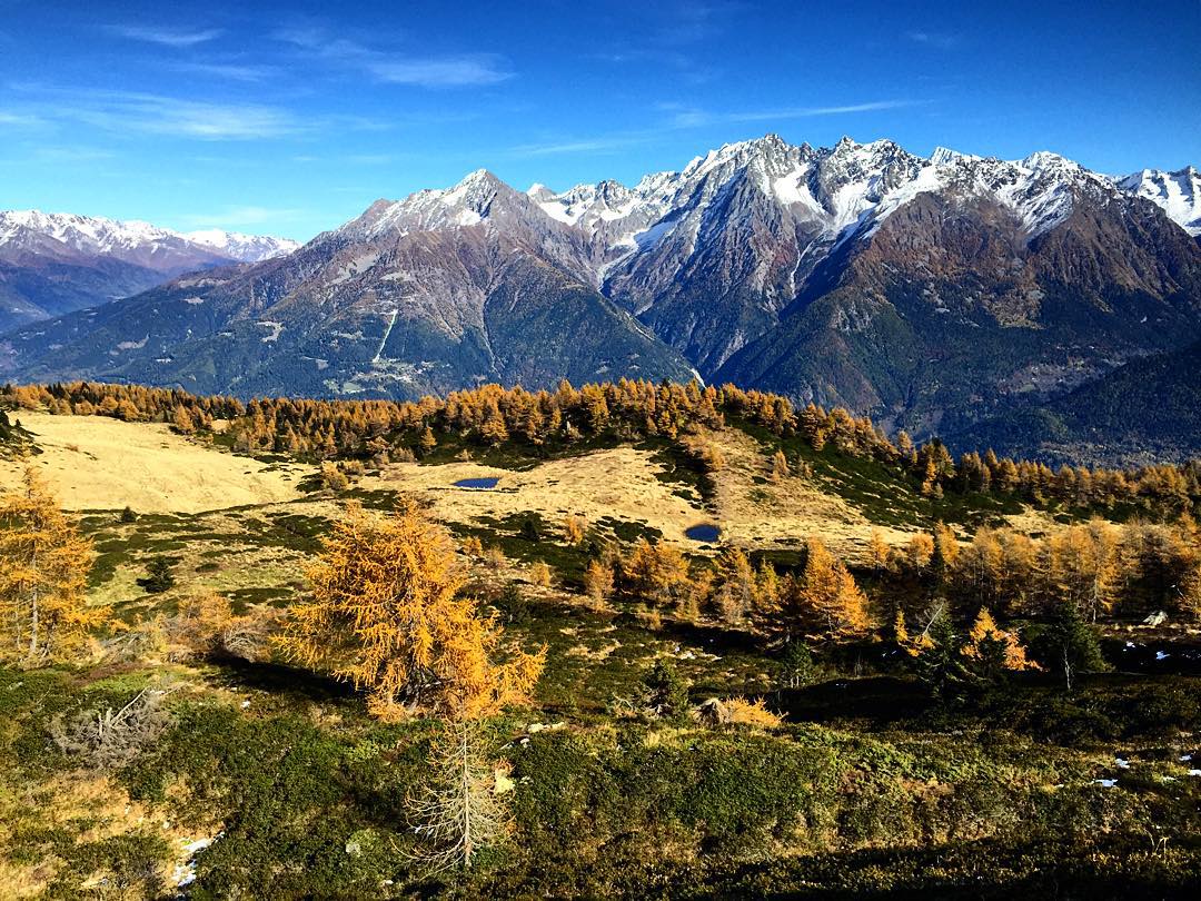Autunno #autunnoparcoadamello #vallecamonica #adamello #parcoadamello #naturalpark #panorama #autumn #autunno #herbst #trees #lake #montagna #mountains #nature #instanature #outdoor #trekking #hiking #sky #clouds #instanature #naturephotography #naturelovers #photooftheday #sunnyday #tbt #sun