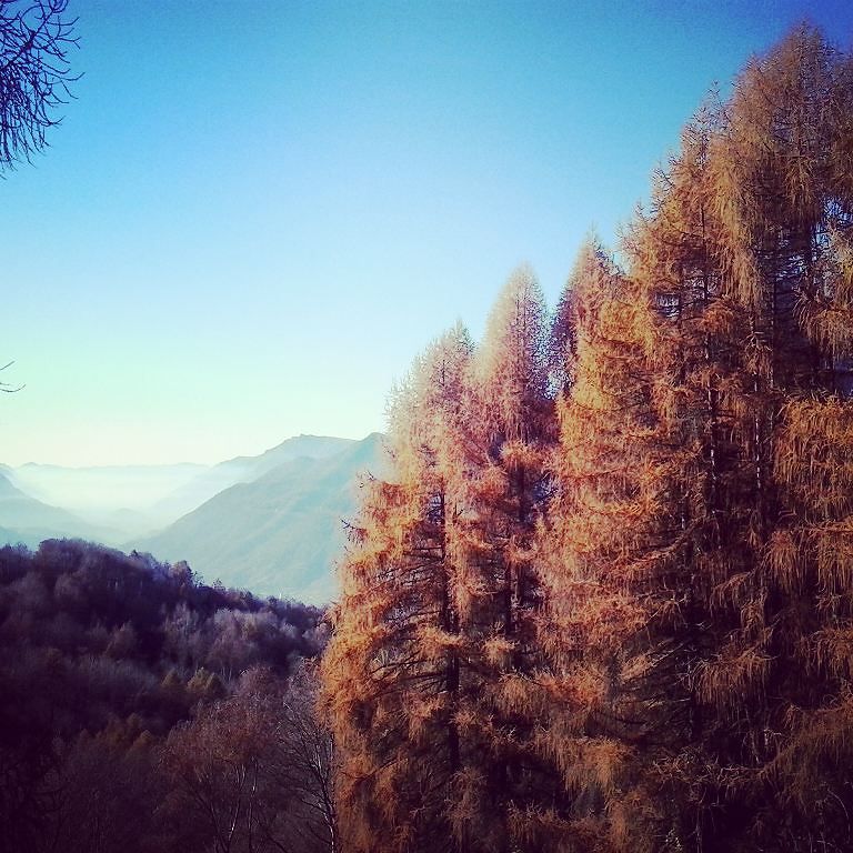 #autunno #solealsole #colori #cimbergo #vallecamonica #ioelaele