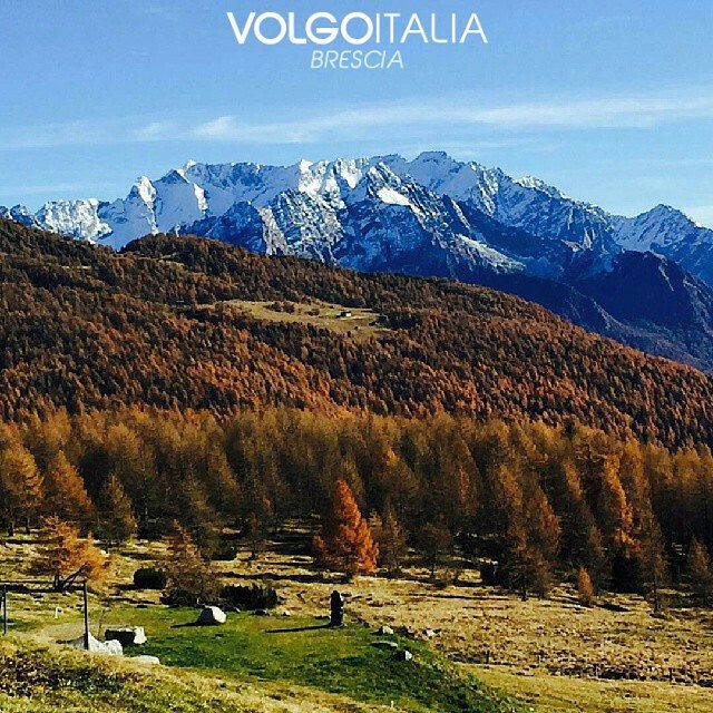 Il Mortirolo – Vallecamonica – Brescia Foto di @vallecamonica #brescia #lombardia #italia #italy #volgobrescia #volgolombardia #volgoitalia #turism #holiday #trip #travel #italytrip #italytour #travelingram #madeinitaly #italyiloveyou #volgosocial #volgobrescia #valcamonicalovers #valcamonica