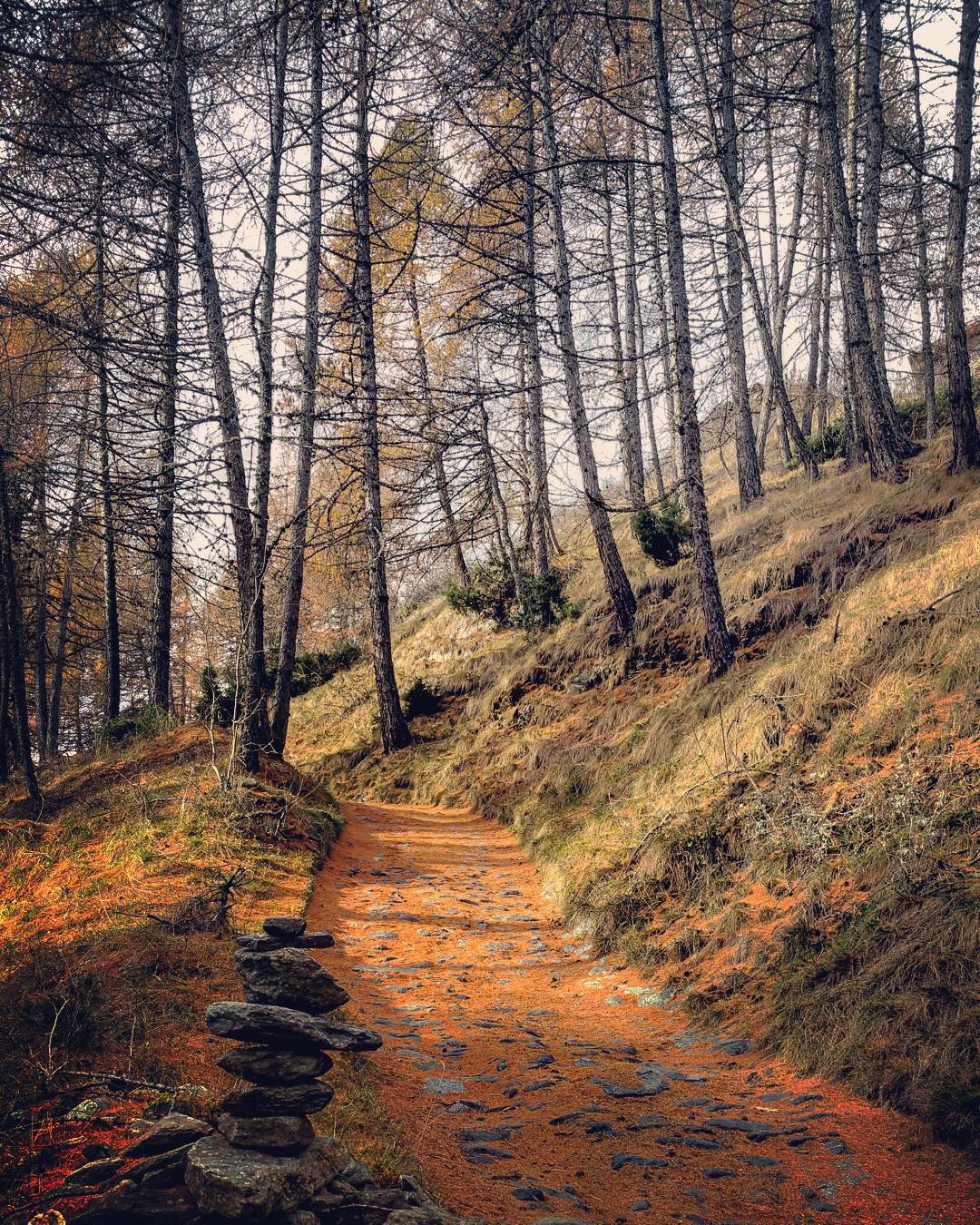 #mountains#mountainscape#alps#landscape#landscape_lovers#fall#autumn#autumncolors#nature#naturelovers#vallecamonica#valledeisegni#volgolombardia#volgobrescia#loves_lombardia#loves_united_lombardia#loves_mountains#vivonatura#igworld_nature#ig_italy#ig_captures#ig_brescia#ig_lombardia#lombardia_super_pics#gf_daily#gf_italy#vivalavallecamonica#visititalia